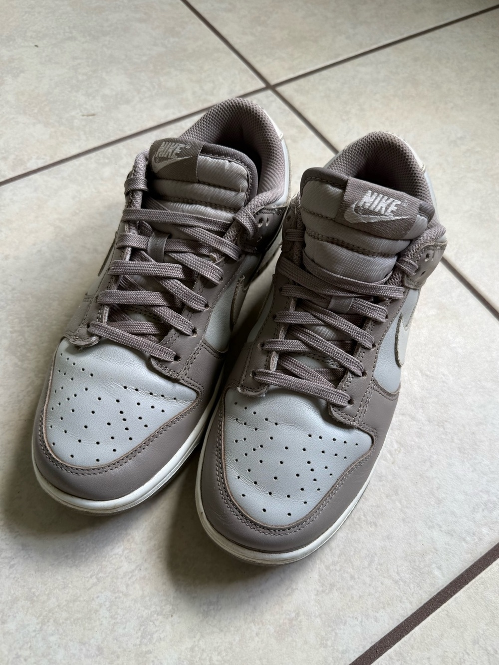 MOON FOSSIL NIKE DUNKS